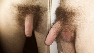 Haariger Penis