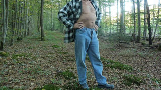 Ein Männlein steht im Walde 2