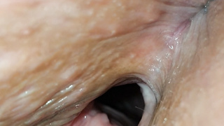 Schwanz frisch raus gezogen