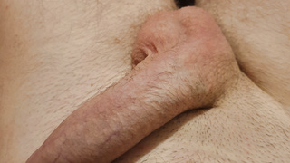 Penis Behaart und unbehaart