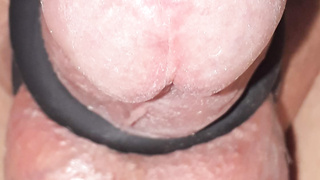 Mein Steifer Penis für alle Frauen