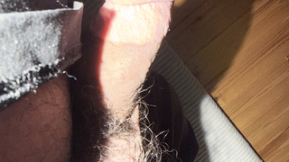 Mini Beschnittener Schwanz