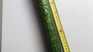 Ich liebe Analspielzeug.