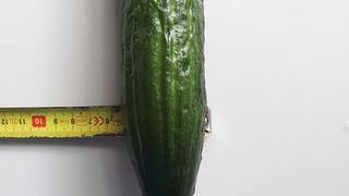 Ich liebe Analspielzeug.