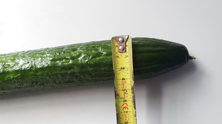 Ich liebe Analspielzeug.