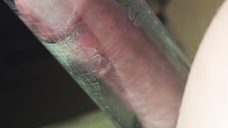 Praller Schwanz Bilderalbum