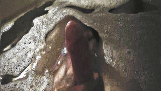 Schwanz in allen Lebenslagen