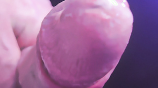 Schwanz in allen Lebenslagen