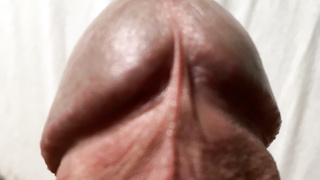 Schwanzfotos geil und für euch