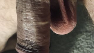 Schwanzfotos für euch