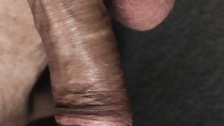 Schwanzfotos für euch