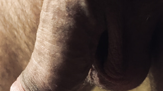 Schwanzfotos für euch