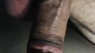 Schwanzfotos für euch