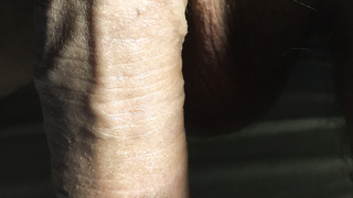 Schwanzfotos für euch