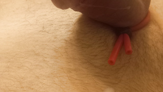 Sperma Analplug Hodenband