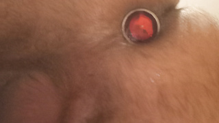 Sperma Analplug Hodenband