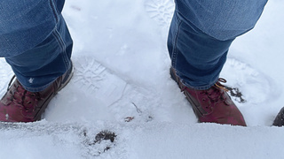 Geiler Winterspaziergang