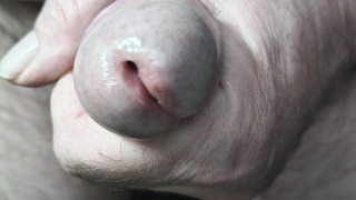 Meiner steht zur Verfügung