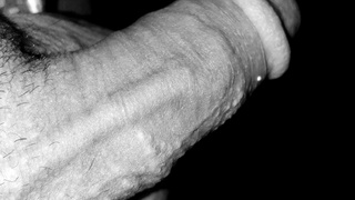 Mein Schwanz im Rampenlicht