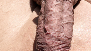 Mein Schwanz und meine MILF