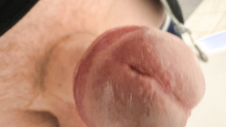 Steifer Schwanz ganz nah