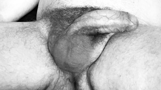 Behaarter Oldie von allen Seiten 1