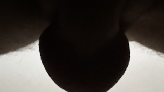 Geil geworden am Fenster