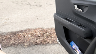 Einfach mal den Schwanz rausholen