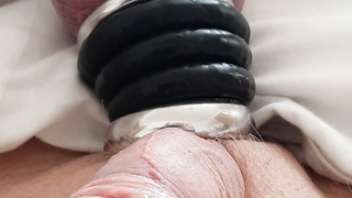 Mein Schwanz mit 5 Ringe