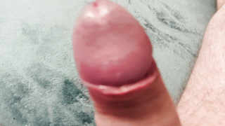 Habe hier mal meinen Penis für euch fotografiert