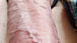 Ein neues Schwanzfoto