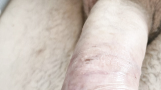 Mal ein paar Bilder von meinem schönen Schwanz