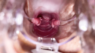 Frühlingskontrolle für die AO Saison