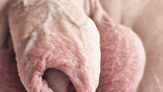 Der Nordmann stellt sich vor