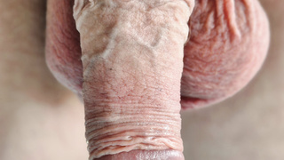 Der Nordmann stellt sich vor