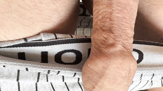 Morgen Penis mit Vorhaut und Eichel