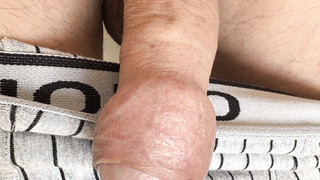 Morgen Penis mit Vorhaut und Eichel