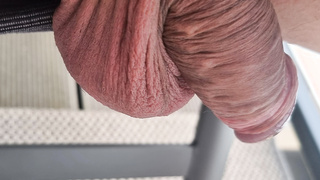 Vorstellung erste Bilder