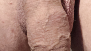 Vorstellung erste Bilder