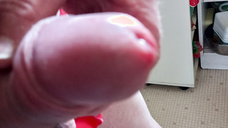 Welches Mädel will meinen Schwanz