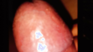 Geiler Schwanz sucht geile Muschi bitte melden.