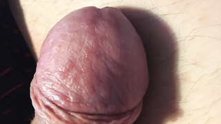 Habe mit Brenneseln gespielt Und meine Eichel wurde Dick