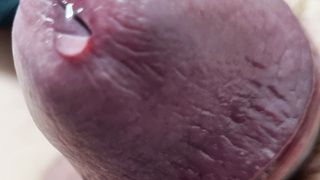 Das sind wir ein kleiner Einblick