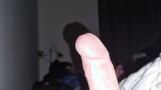 Der Schwanz meines Mannes.