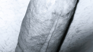 Der Schwanz meines Mannes.