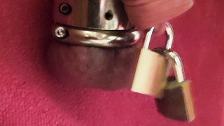 Ring um die Eier Bilder