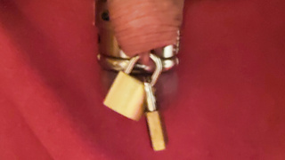 Ring um die Eier Bilder