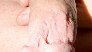 Schöner harter Schwanz