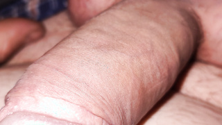 Bilder von meinem besten Kumpel