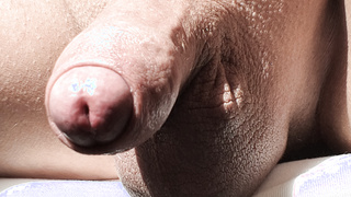 Er geniesst die warmen Sonnenstrahlen wer noch?